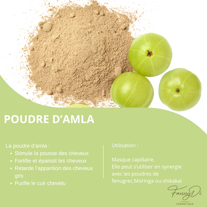 POUDRE D'AMLA BIOLOGIQUE - FannyDi Cosmetique